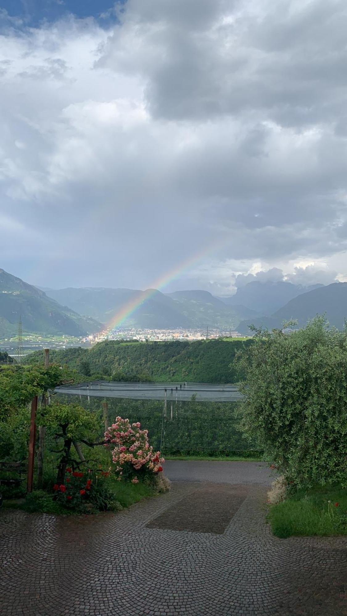 Gfillhof Ferienwohnung 3 Appiano Sulla Strada Del Vino Exterior foto
