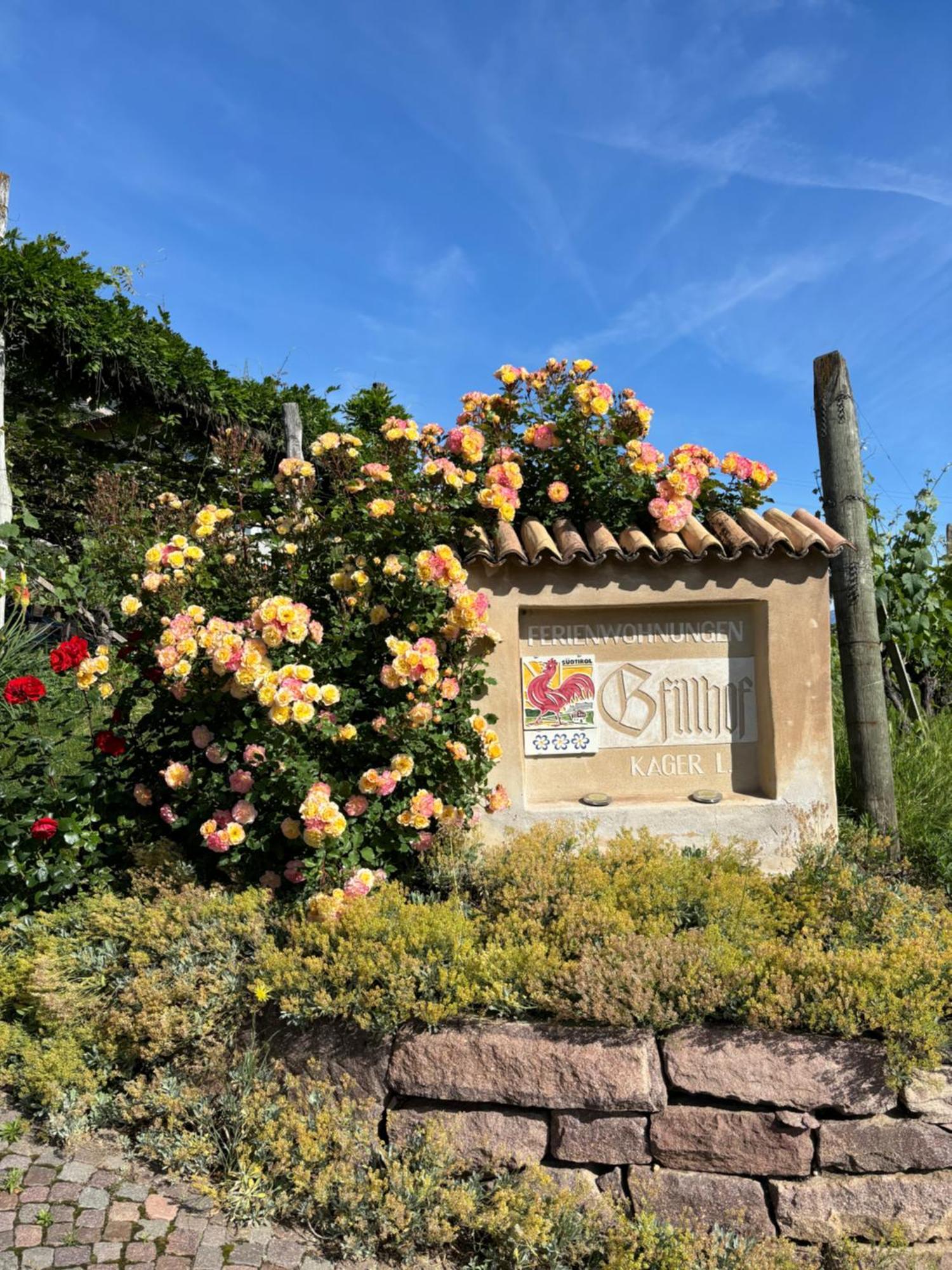 Gfillhof Ferienwohnung 3 Appiano Sulla Strada Del Vino Exterior foto
