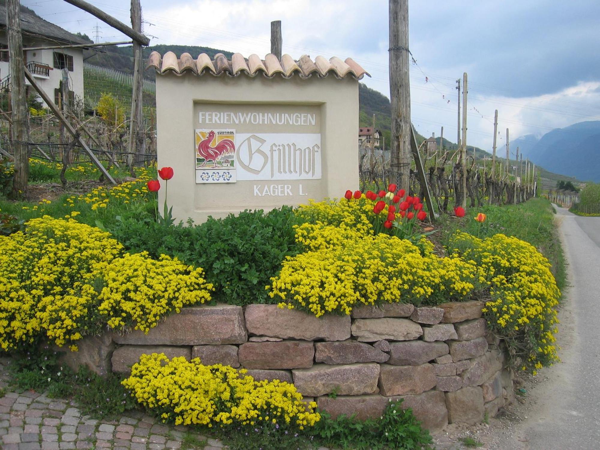 Gfillhof Ferienwohnung 3 Appiano Sulla Strada Del Vino Exterior foto